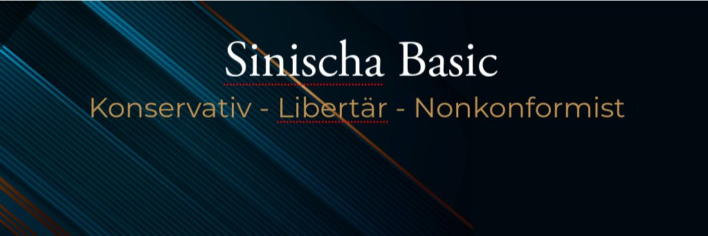 Sinischa Basic banner
