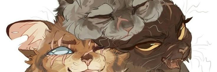 Vitriatekb's profile banner image