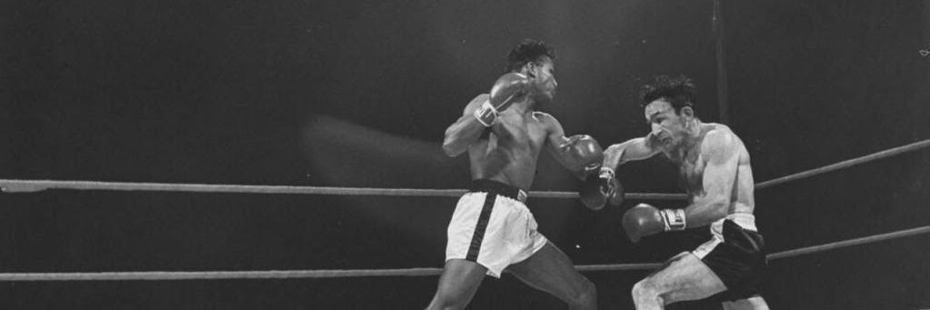 8CNboxing's profile banner image
