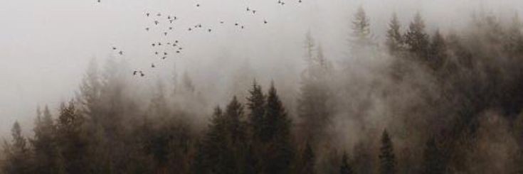 koovbiee's profile banner image