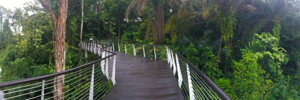 sjcaffyn Profile Banner