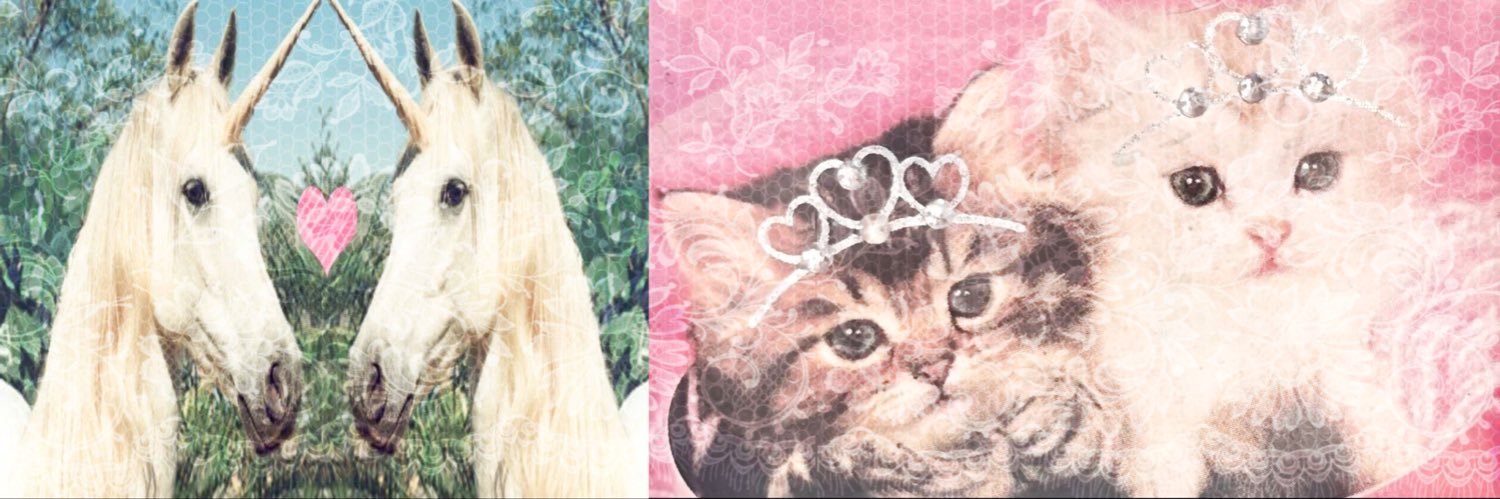 charmlover300's profile banner image