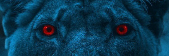 bigJustice55's profile banner image