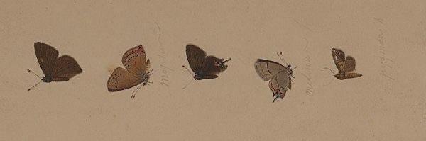 Mvor4p's profile banner image