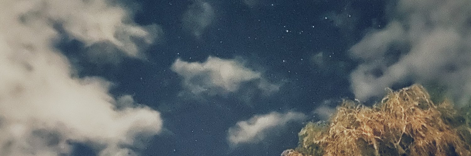 itsLibbie's profile banner image