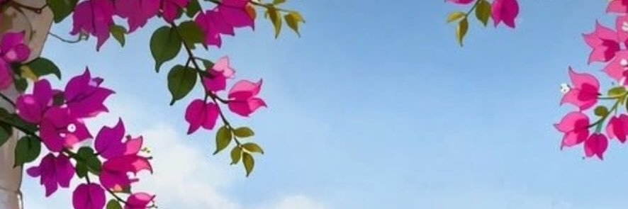 erikk2026's profile banner image