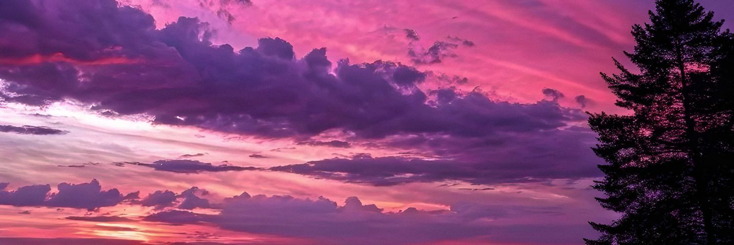 solanastrum's profile banner image