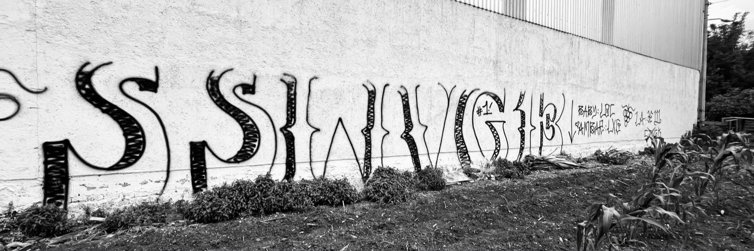 SSWVGST13's profile banner image