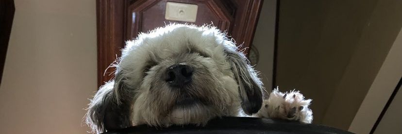 iamgemmed's profile banner image