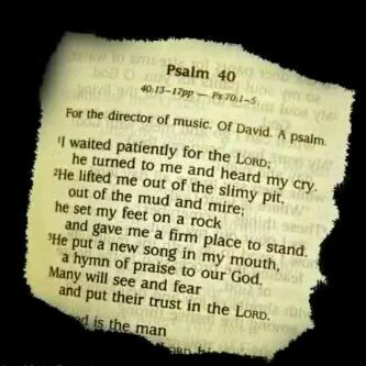 Jessica Essien banner