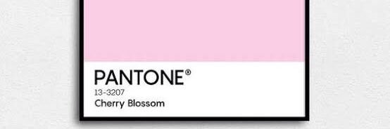 LilSintora's profile banner image