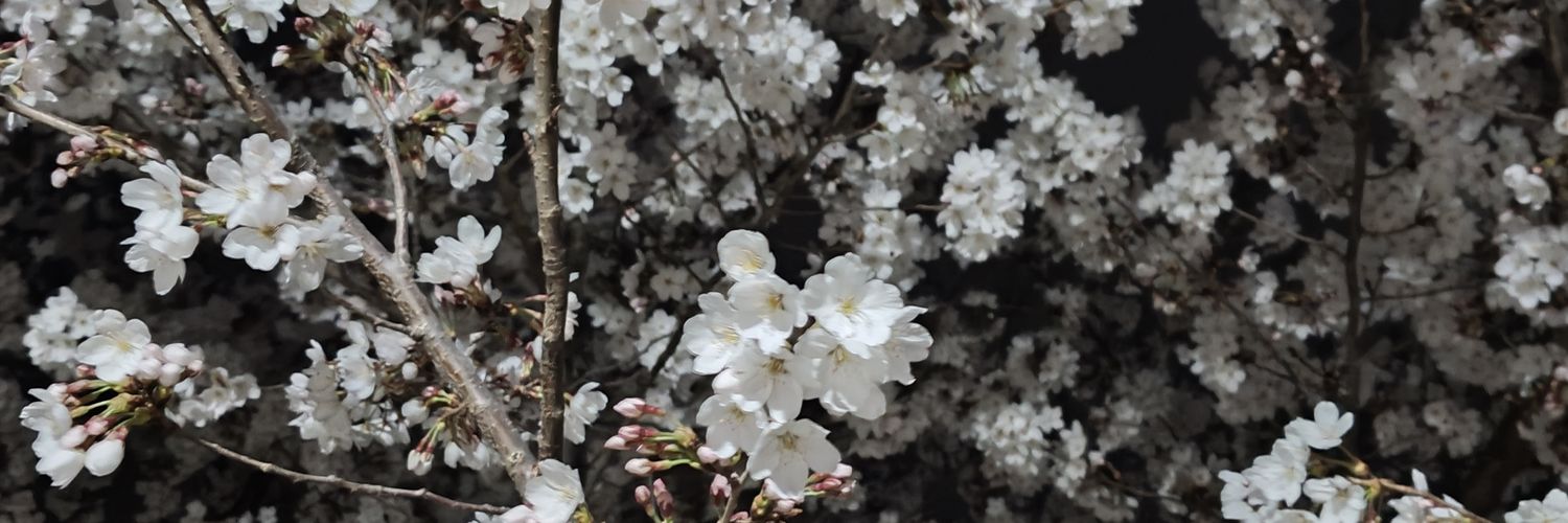 FOR banner