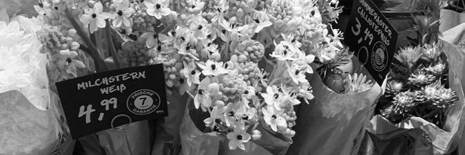 𝐮𝐥𝐥𝐲𝐧é 𝐬𝐭𝐨𝐫𝐞||jualapppremium||🍒🍒🍒 banner