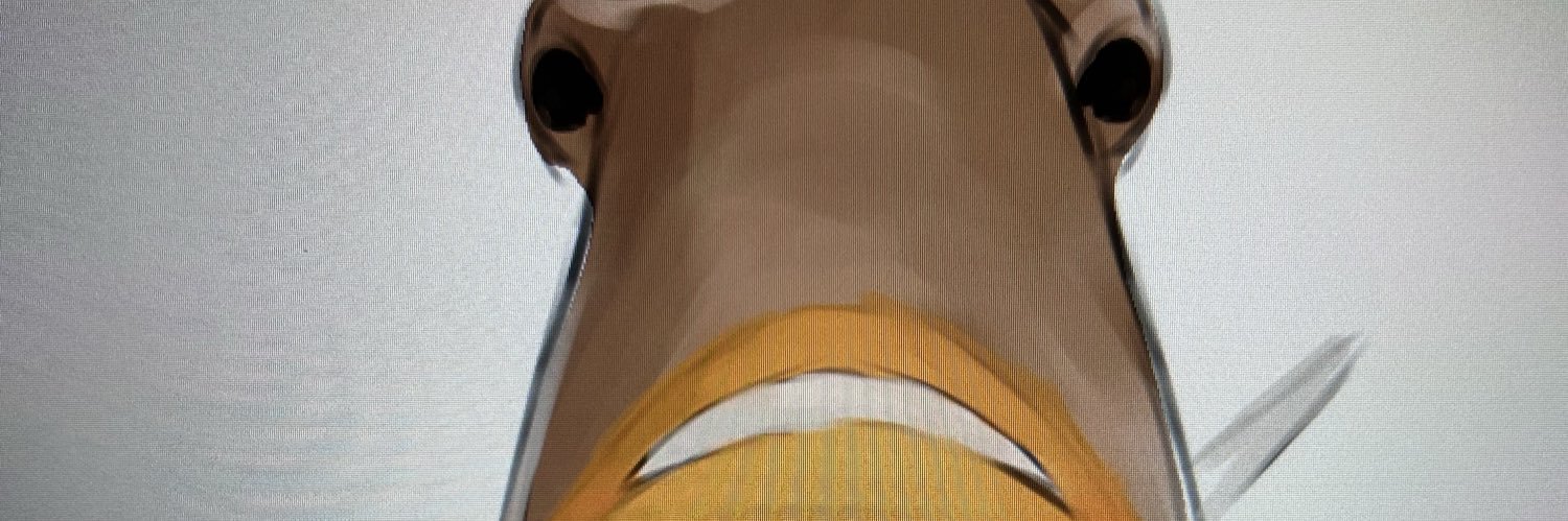 lalala banner