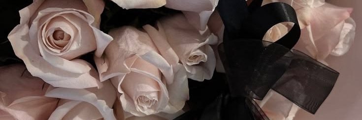 1o4y__'s profile banner image