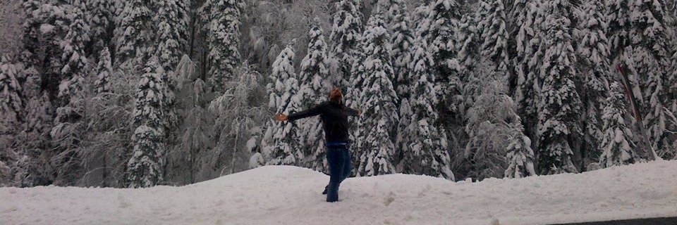 Tam_errr's profile banner image
