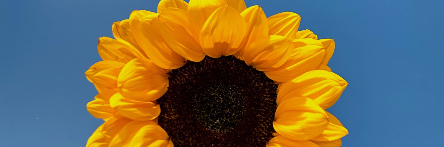 Changyim888's profile banner image