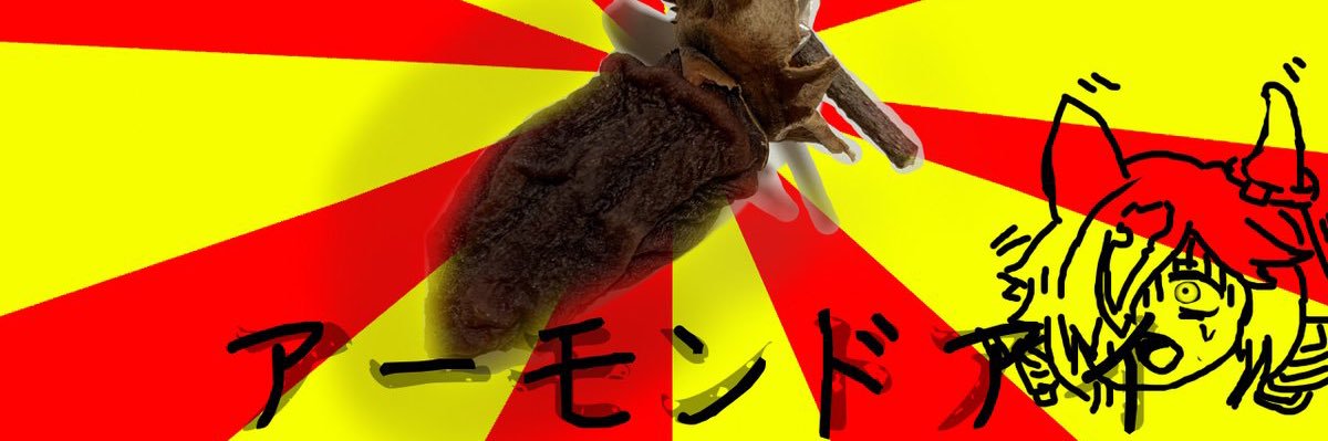 popostore's profile banner image