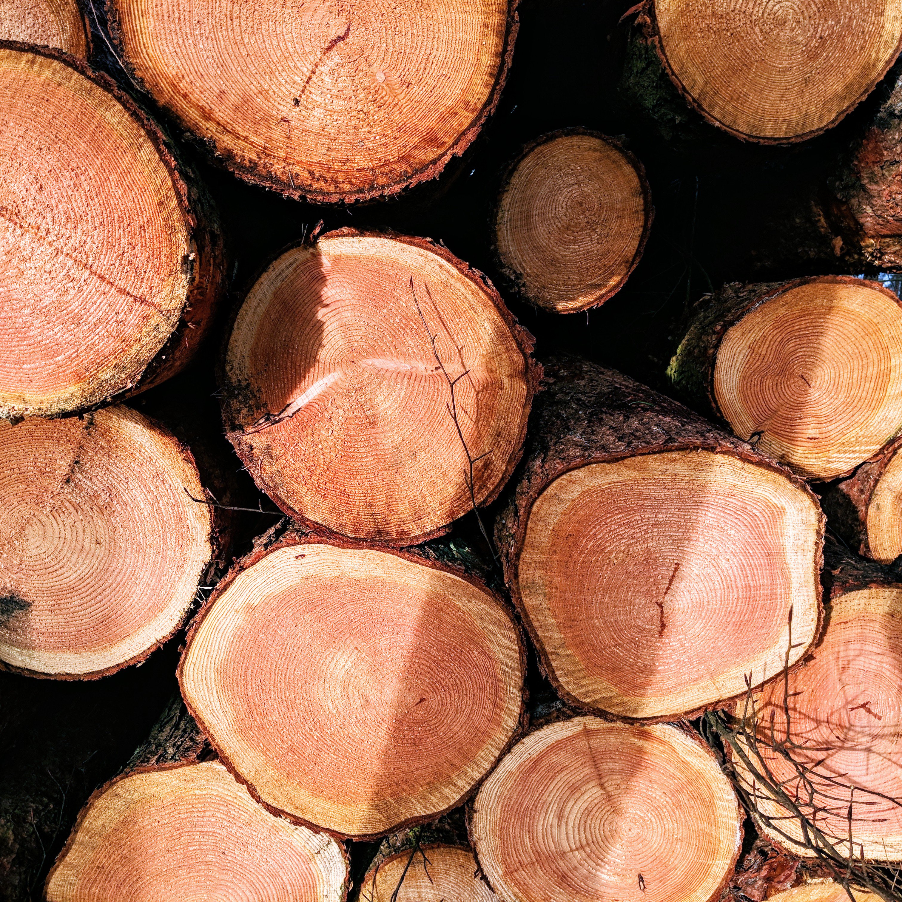 Crin Makes Stuff banner