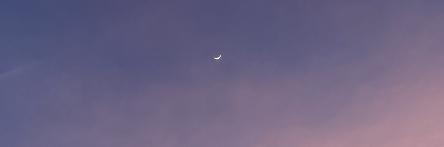 yn_zn6's profile banner image