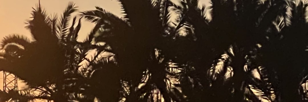 🌊🪐🍷 banner