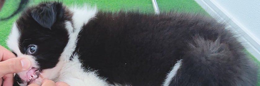 nokutobc's profile banner image
