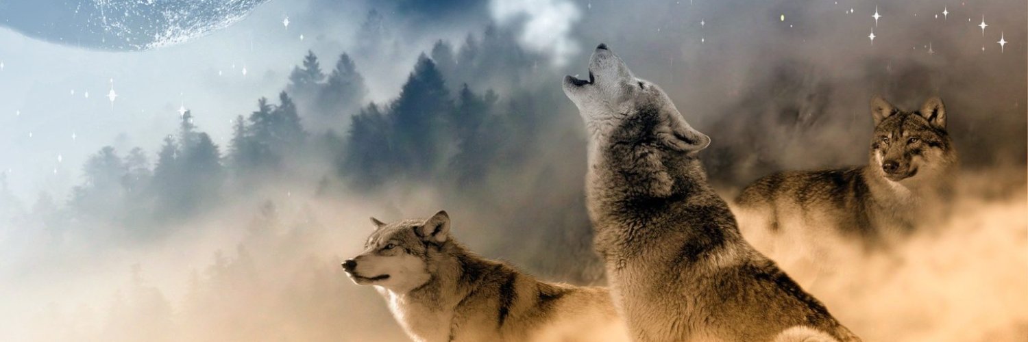 Turkey Exposed banner