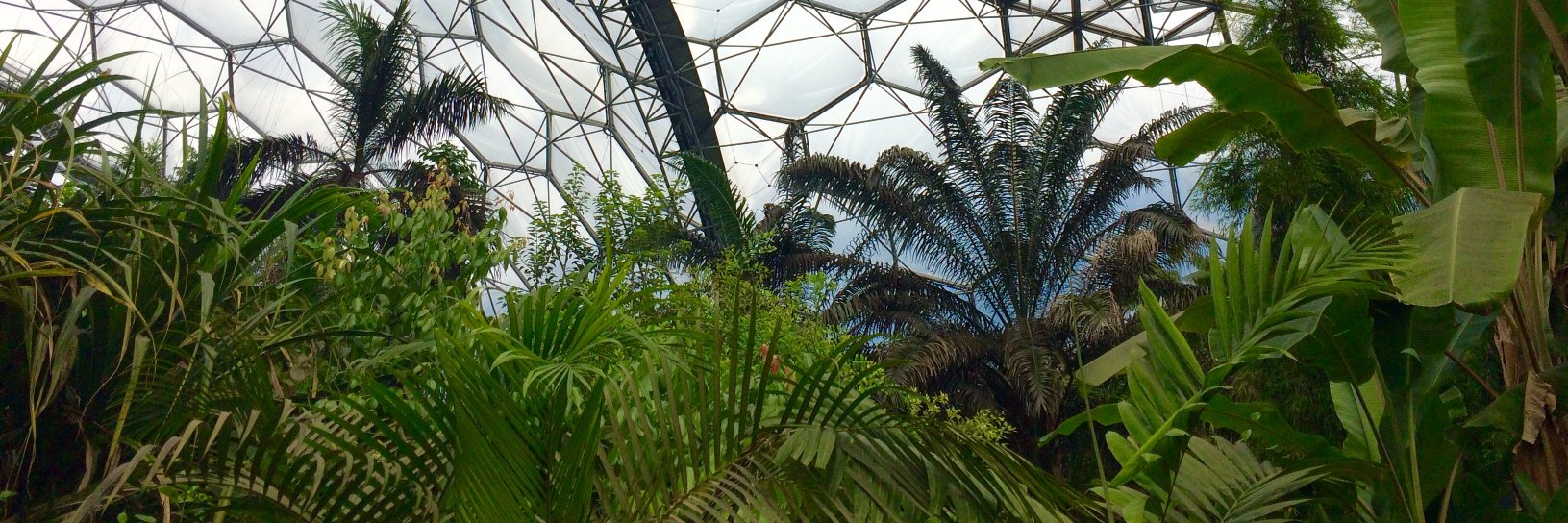 Alex Sowden 🏴󠁧󠁢󠁳󠁣󠁴󠁿🏴󠁧󠁢󠁷󠁬󠁳󠁿🇮🇪🇪🇺 banner