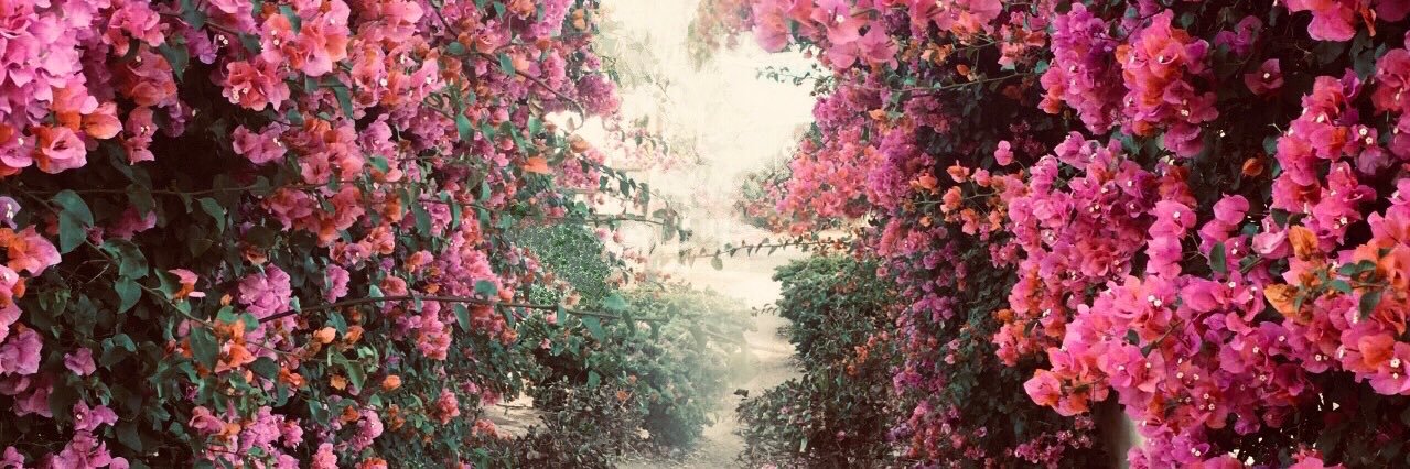 Ceciley Jenkins banner