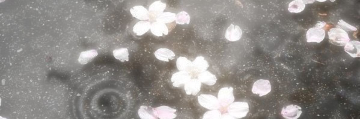 namolvrz's profile banner image