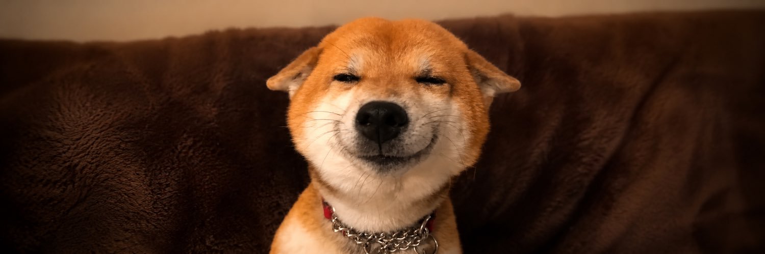 smiling dog banner