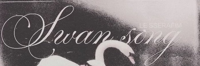 melnomymelody's profile banner image