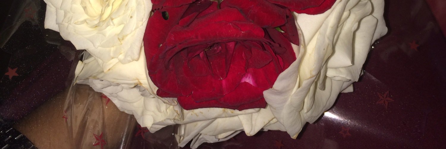 donnaokaP's profile banner image