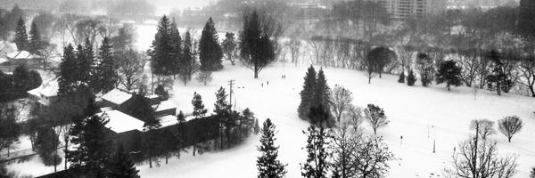 TaymazValley Profile Banner