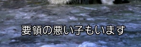 temawaro's profile banner image
