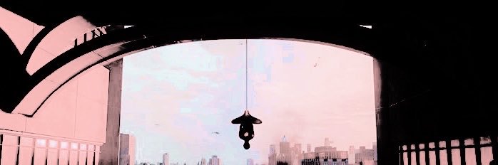 SPVDYSVFT's profile banner image