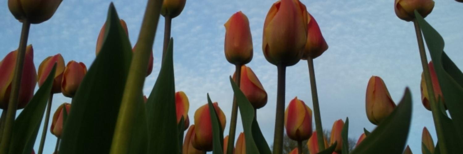 jennmayf's profile banner image