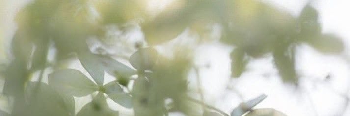 whatsollikes's profile banner image