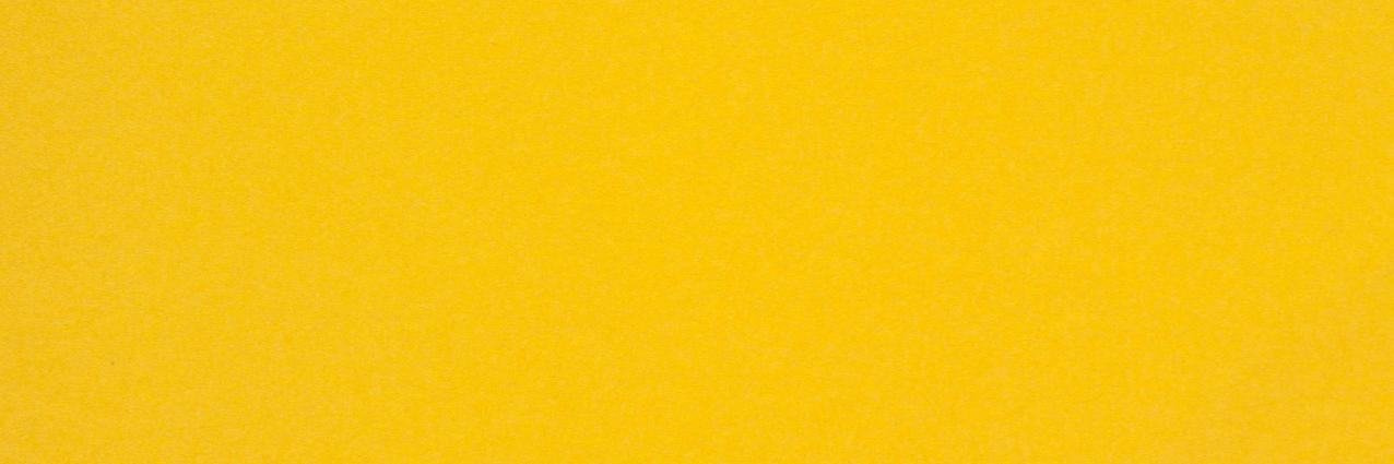 𝔂𝓹 🌻 banner