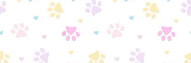 lacey bug . ݁₊ ⊹ . banner