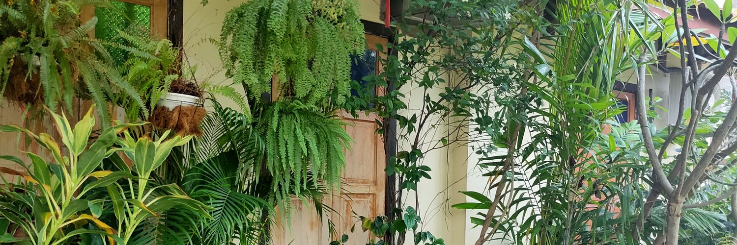 nillyily's profile banner image