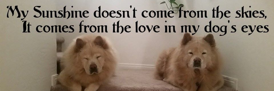 Robin Stowe Ⓥ banner