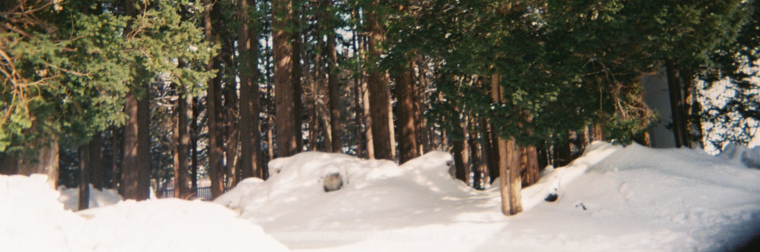scoconutt's profile banner image