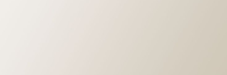 vivi banner