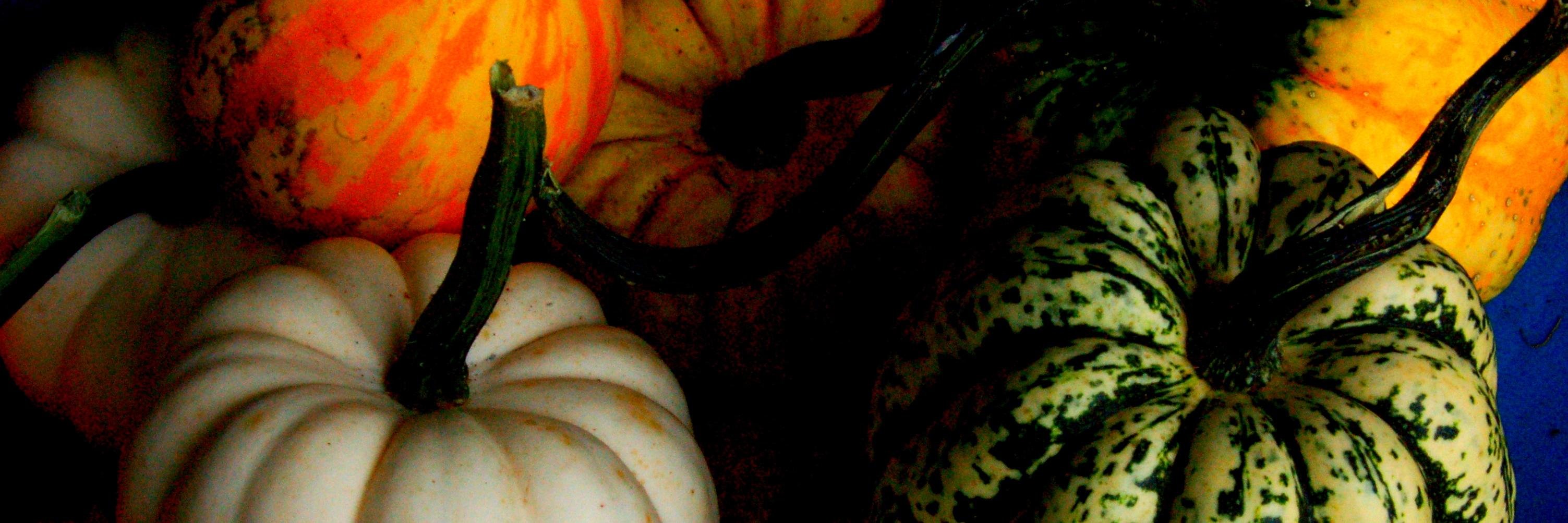 Ciccillo_4's profile banner image