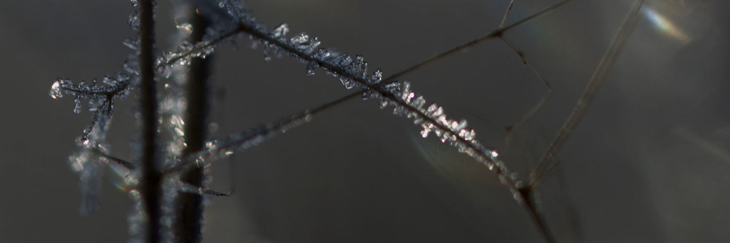 hekokoster's profile banner image