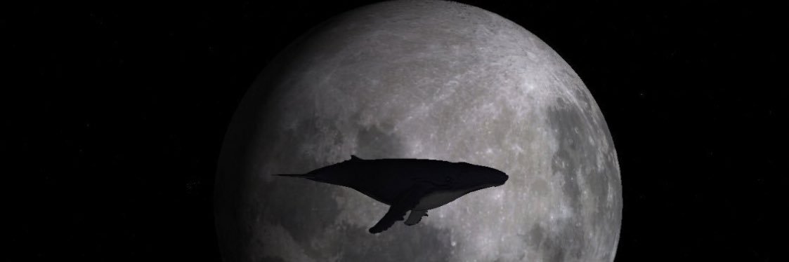 ElcidTueres's profile banner image
