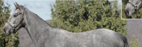 LongrunG's profile banner image