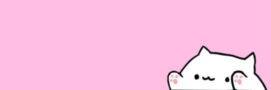 daisycatnap's profile banner image