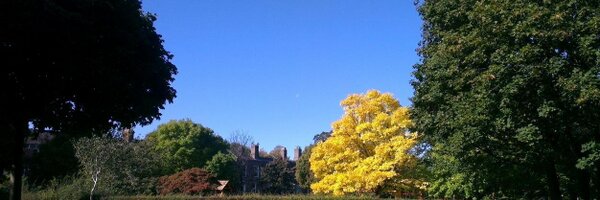 conor_osullivan Profile Banner